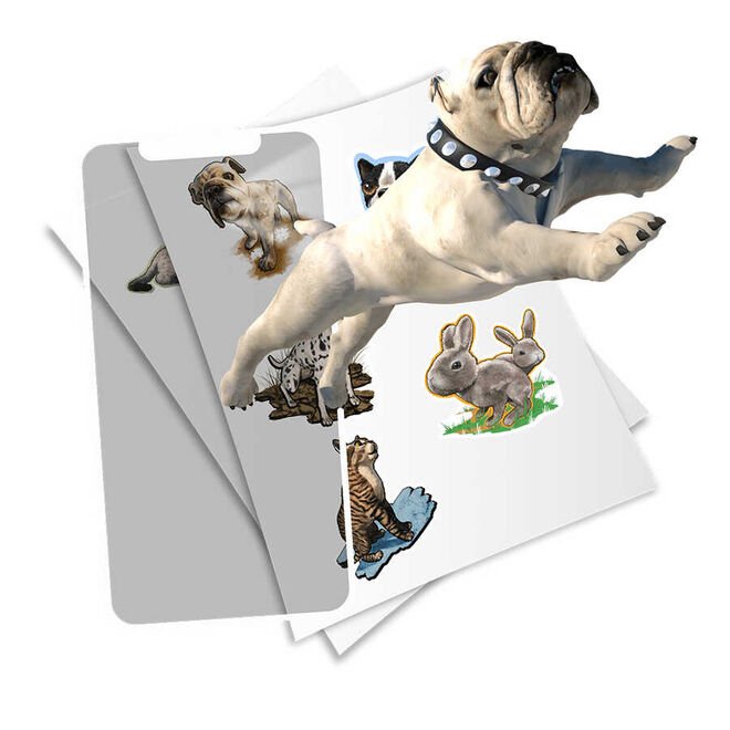 HoloToyz Sticker Pet Party AR Uyumlu Etiket